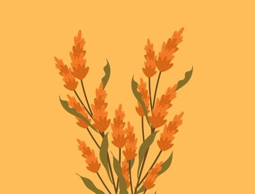 découvrez les différentes techniques de peinture qui permettent d'exprimer votre créativité. que vous soyez débutant ou artiste confirmé, apprenez à maîtriser des méthodes variées allant de l'aquarelle à l'huile, en passant par l'acrylique et plus encore. explorez les astuces et conseils pour améliorer vos compétences et donner vie à vos œuvres.
