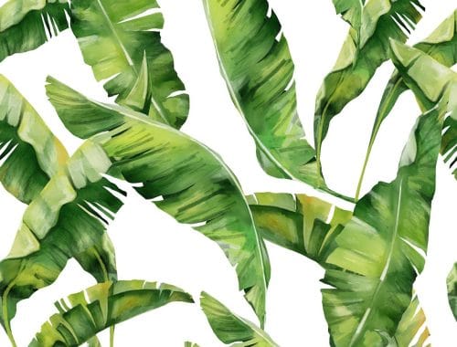 découvrez l'art de l'illustration : des techniques variées, des styles époustouflants et des conseils pratiques pour donner vie à vos idées créatives. explorez un univers visuel captivant qui éveillera votre imagination.